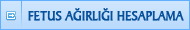 Bebek Fetus Ağırlığı Hesaplama Bebeğinizin fetus ağırlığını hesaplayın