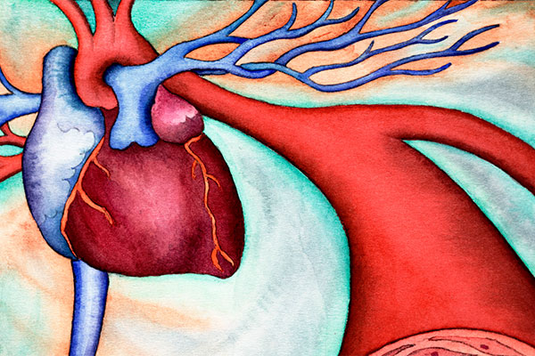 B3 vitamini kolesterolü düşürüyor B3 vitamini kolesterolü düşürüyor
