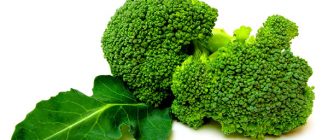 Brokoli kanseri önlüyor