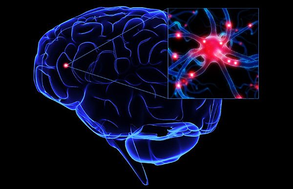 ALS nedir? ALS nedir?